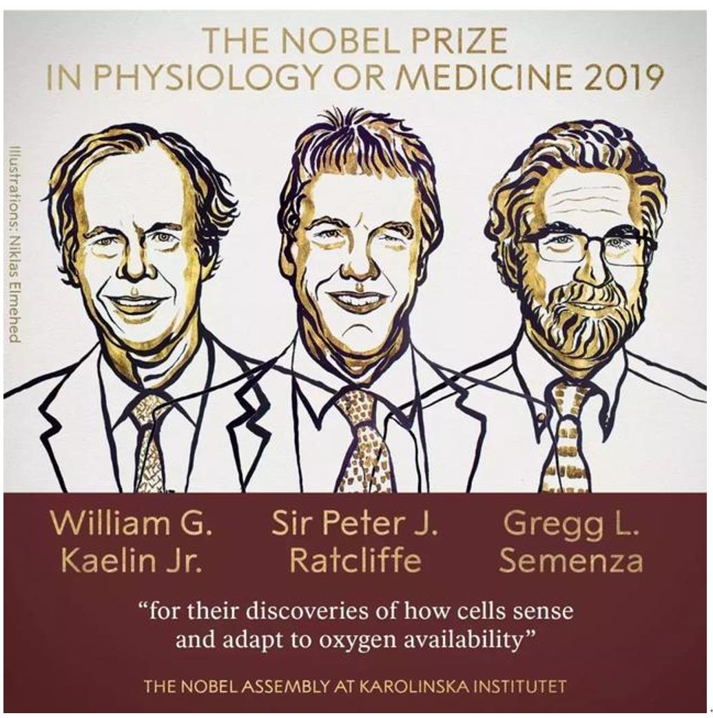 诺奖“氧感知通路”打开药研新世界，首款新药已率先在中国上市创多项记录