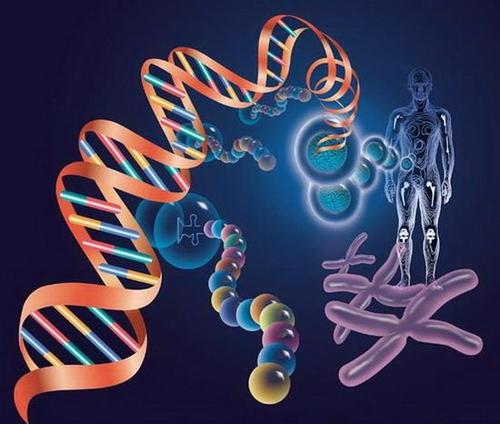 液体活检技术新突破！AI验血有望筛查早期肺癌