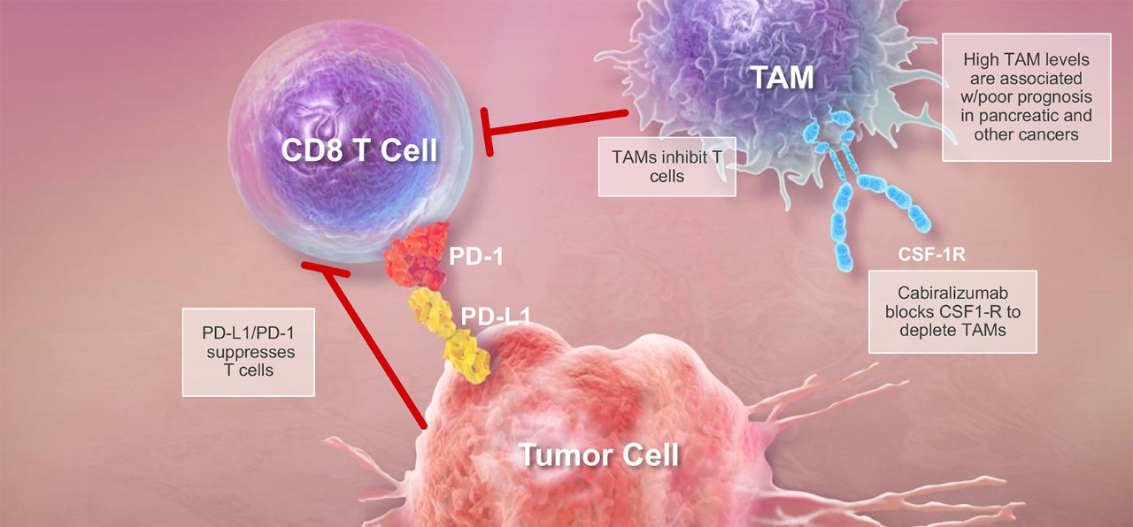全球细胞疗法达1483种 中国研发试验紧追美国